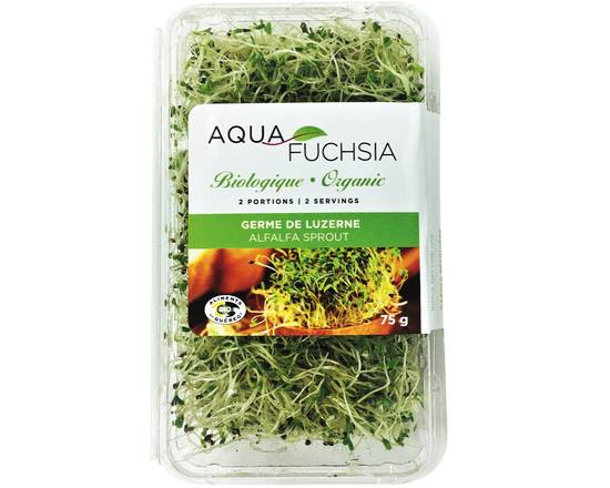 Aquafuchsia · Luzerne biologique (75 g) - Organic alfalfa (75 g)