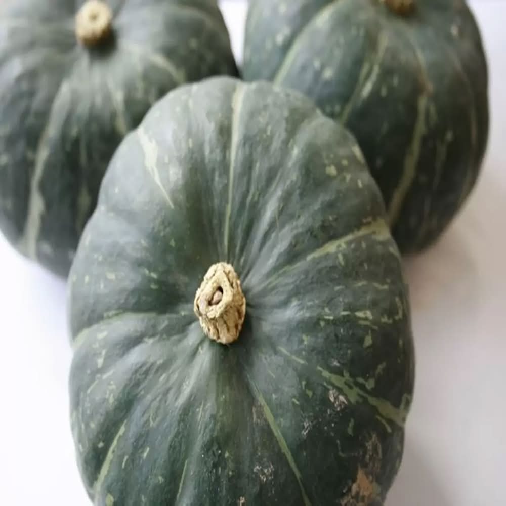 マロンドールかぼちゃ２個