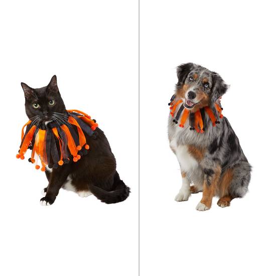 Thrills & Chills™ Halloween Neck Scrunchie Dog & Cat Costume (Color: Multi Color, Size: One Size)