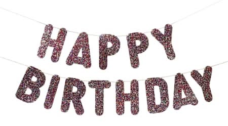 Happy Birthday Party Banner