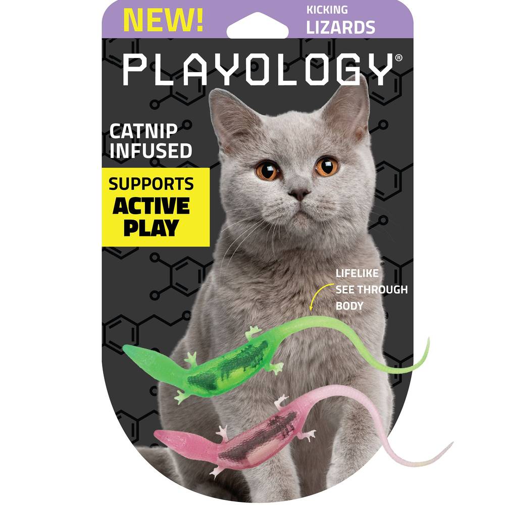 Playology Lizards With Bugs Cat Toys (2 ct)