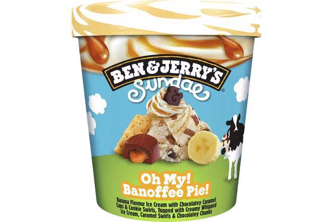 BEN & JERRYS BANOFFEE PIE 427ML