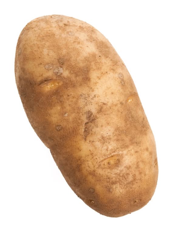 Russet Potato