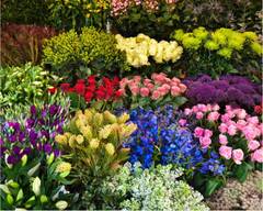 Bloor Fruit Market Flower Shop