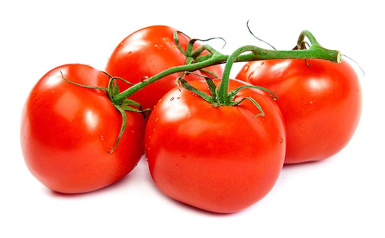 Tomate rouge sur vigne