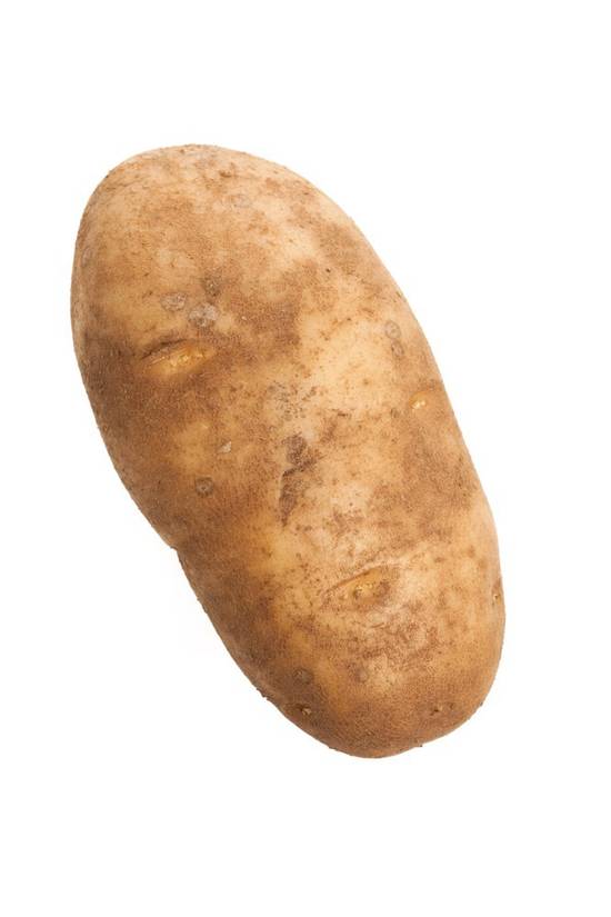 Orgnic Russet Potato (1 potato)