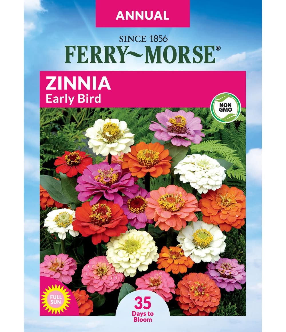 Ferry-Morse Zinnia Seeds 500 Milligram(s)