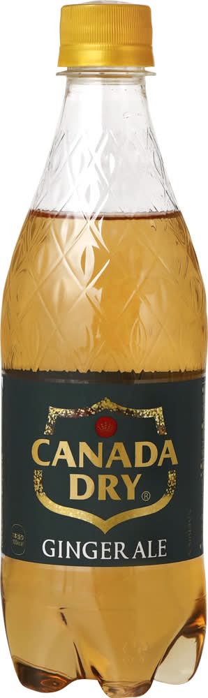カナダドライ ジンジャーエール (500mL)