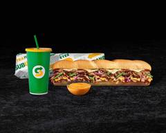 Subway (11299 Milan Ave)