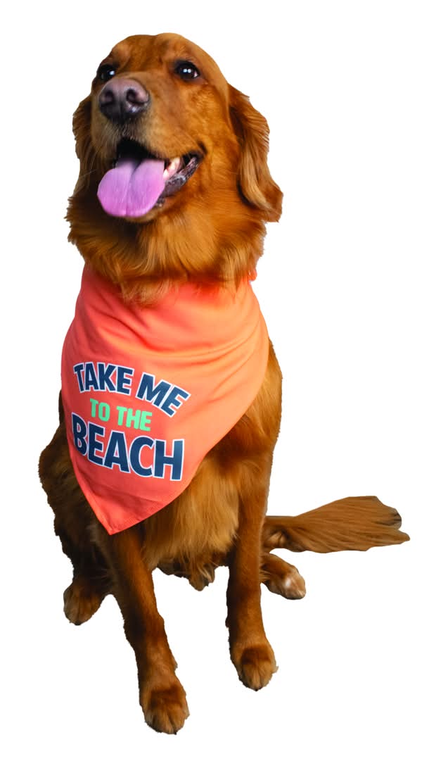 Play On Spring/Summer Apparel Cooling Bandana, One Size