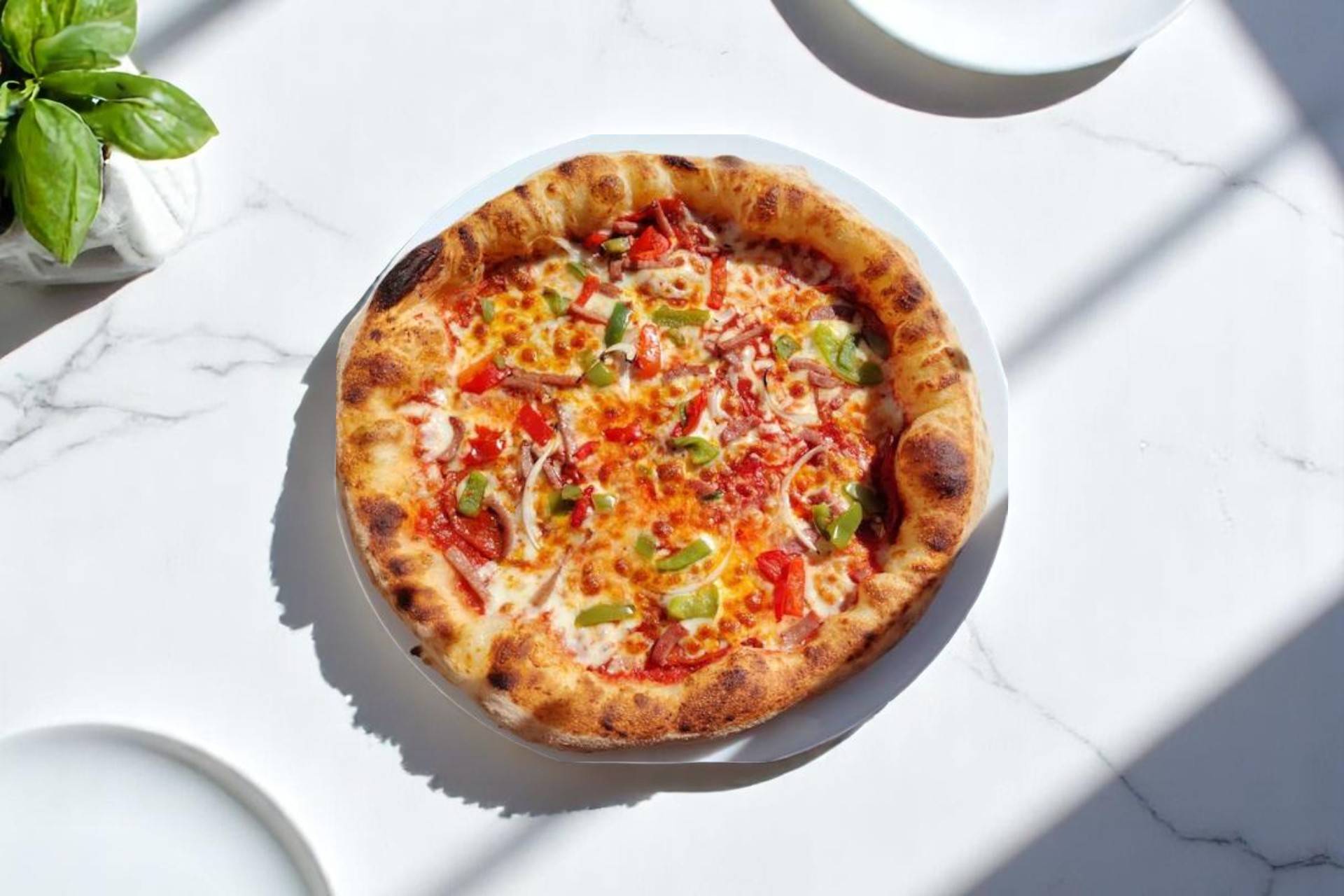 🍕Catalane