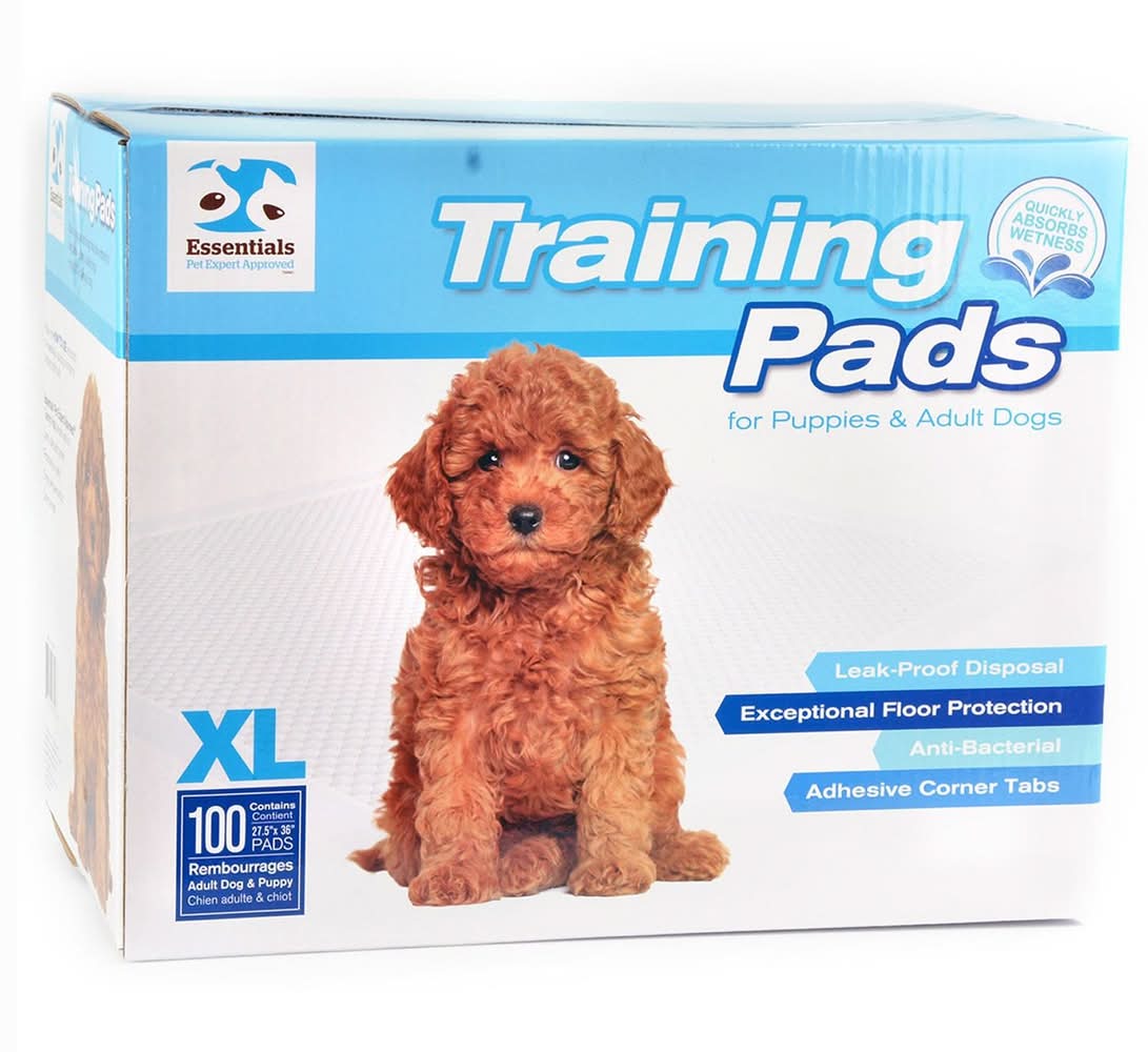 Essentials X-Large Training Puppy Dog Pee Pads, 100 pack