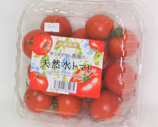 天然水トマト 1kg