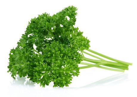 Persil frisé (1 botte) - Curly parsley (1 bunch)