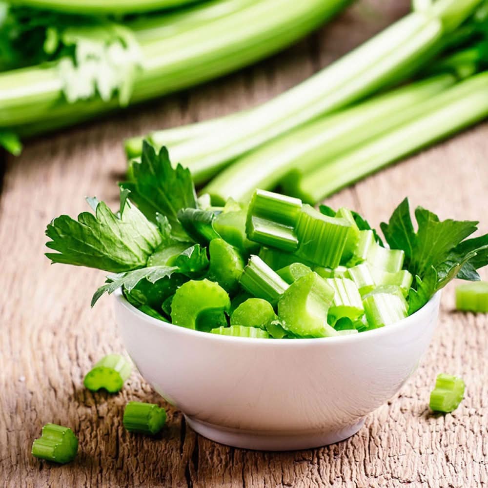 Bonnie Plants Celery Plant in Pot