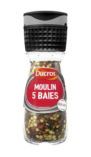Poivre et épices DUCROS - le flacon de 24 g