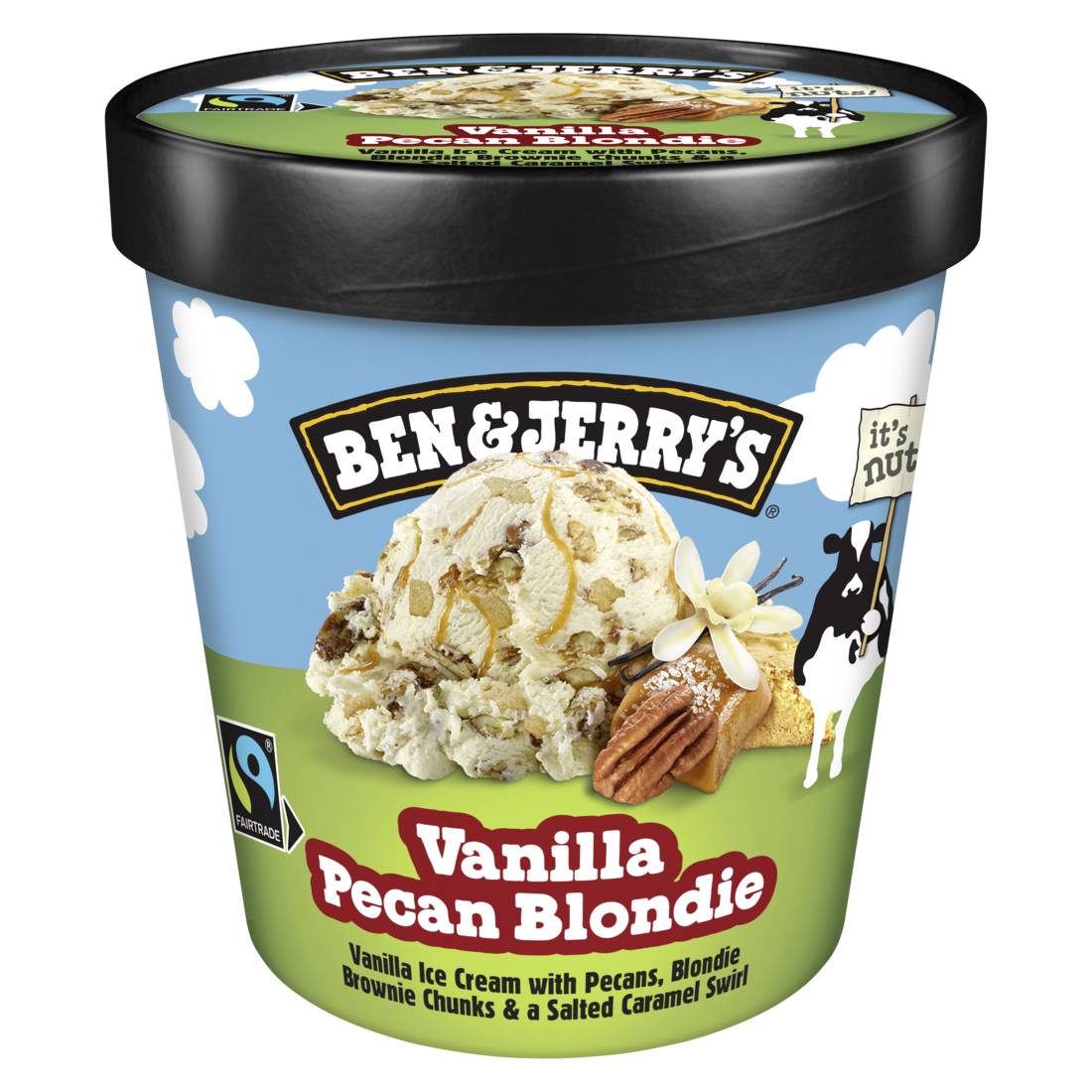 Ben & Jerry's Vanilla Pecan Blondie 465ml