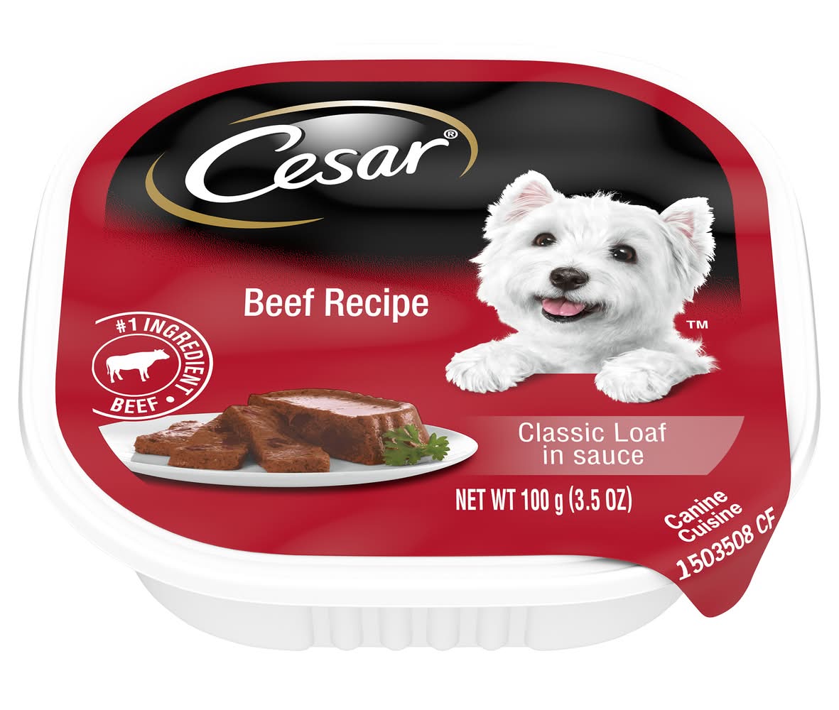 Cesar Classic Loaf in Sauce Wet Dog Food, Beef (3.5 oz)