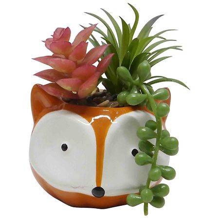 Festive Voice Ceramic Critter Succulent - 1.0 ea