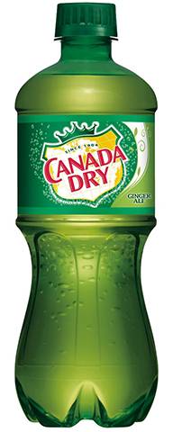 Canada Dry Ginger Ale Soft Drink (20 fl oz)