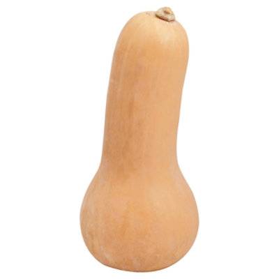 Butternut Squash