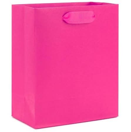 Hallmark Small Gift Bag - 1.0 ea