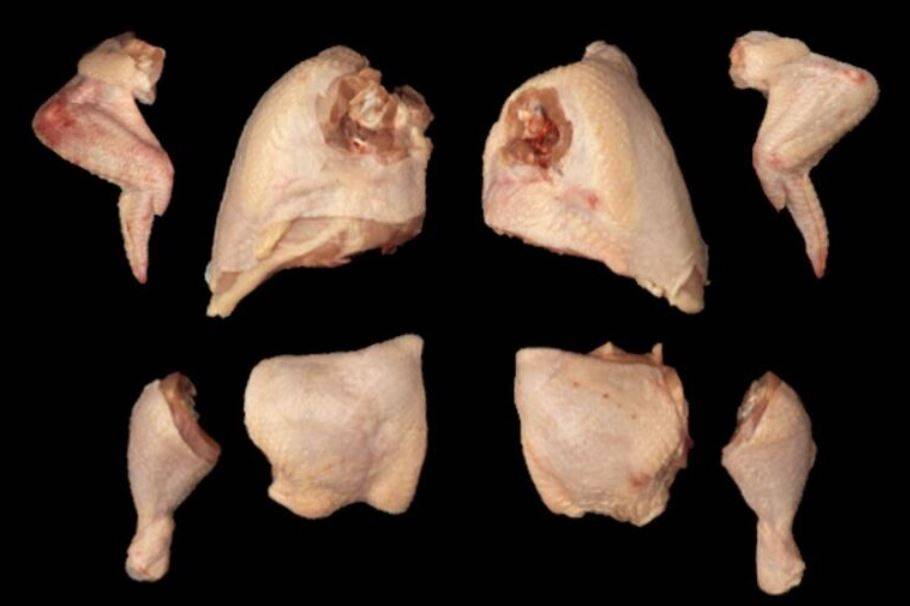 Frozen Chicken, 8-Piece Cut (1 Unit per Case)