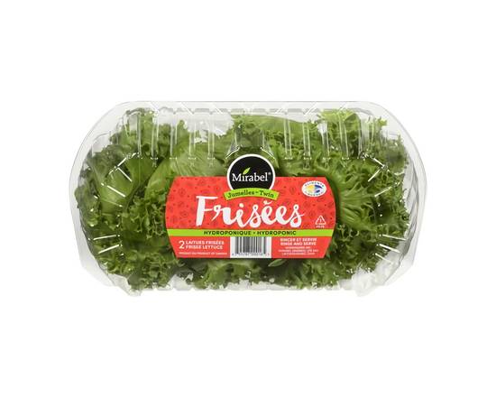 Mirabel · Frisées (Paquet 2) - Frisée lettuce (2 units)