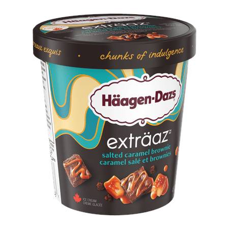 Häagen-Dazs Salted Caramel Brownie Ice Cream (450 g)