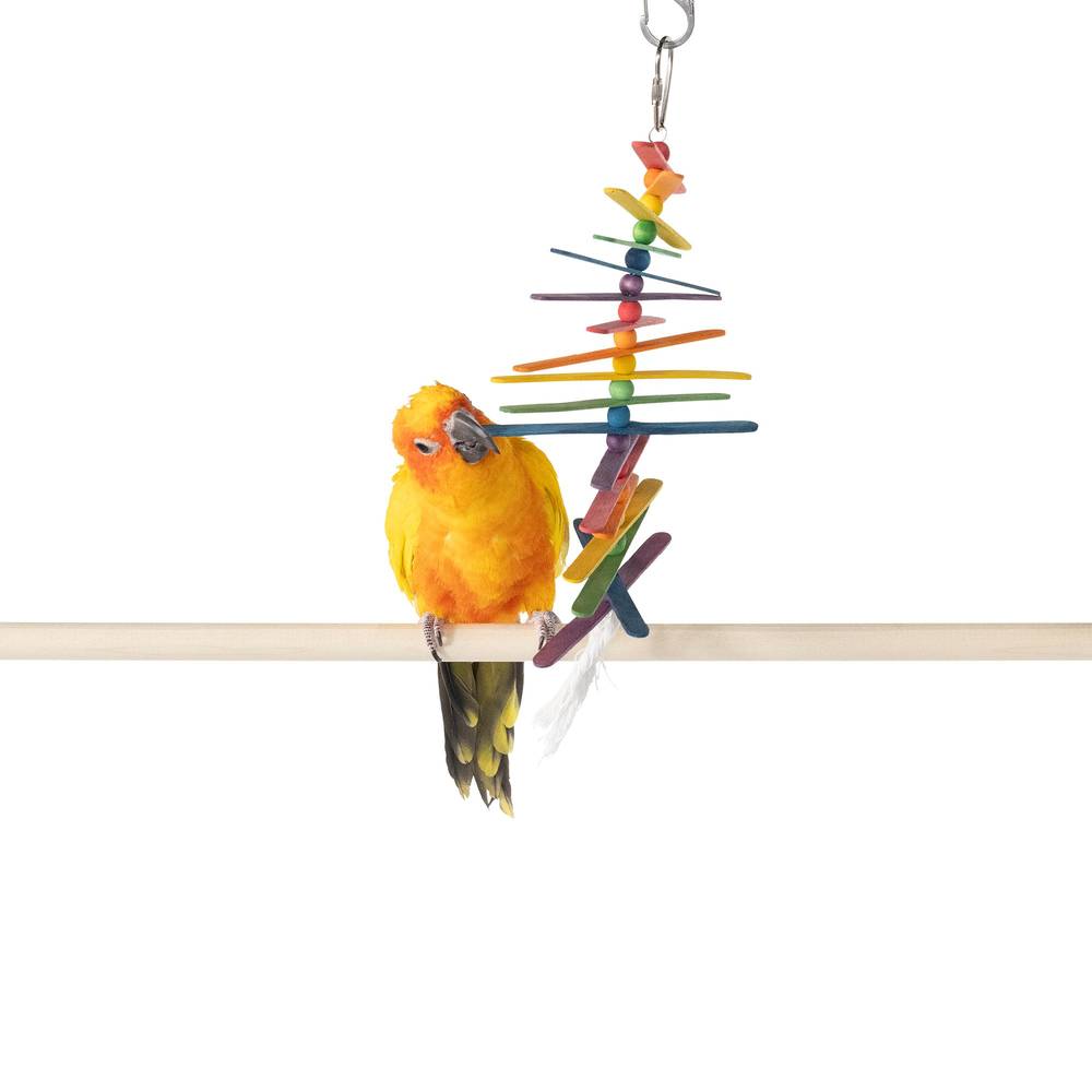 All Living Things® Popsicle Stick Bird Toy (Color: Assorted)