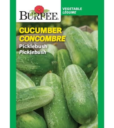 Burpee Picklebush Cucumber
