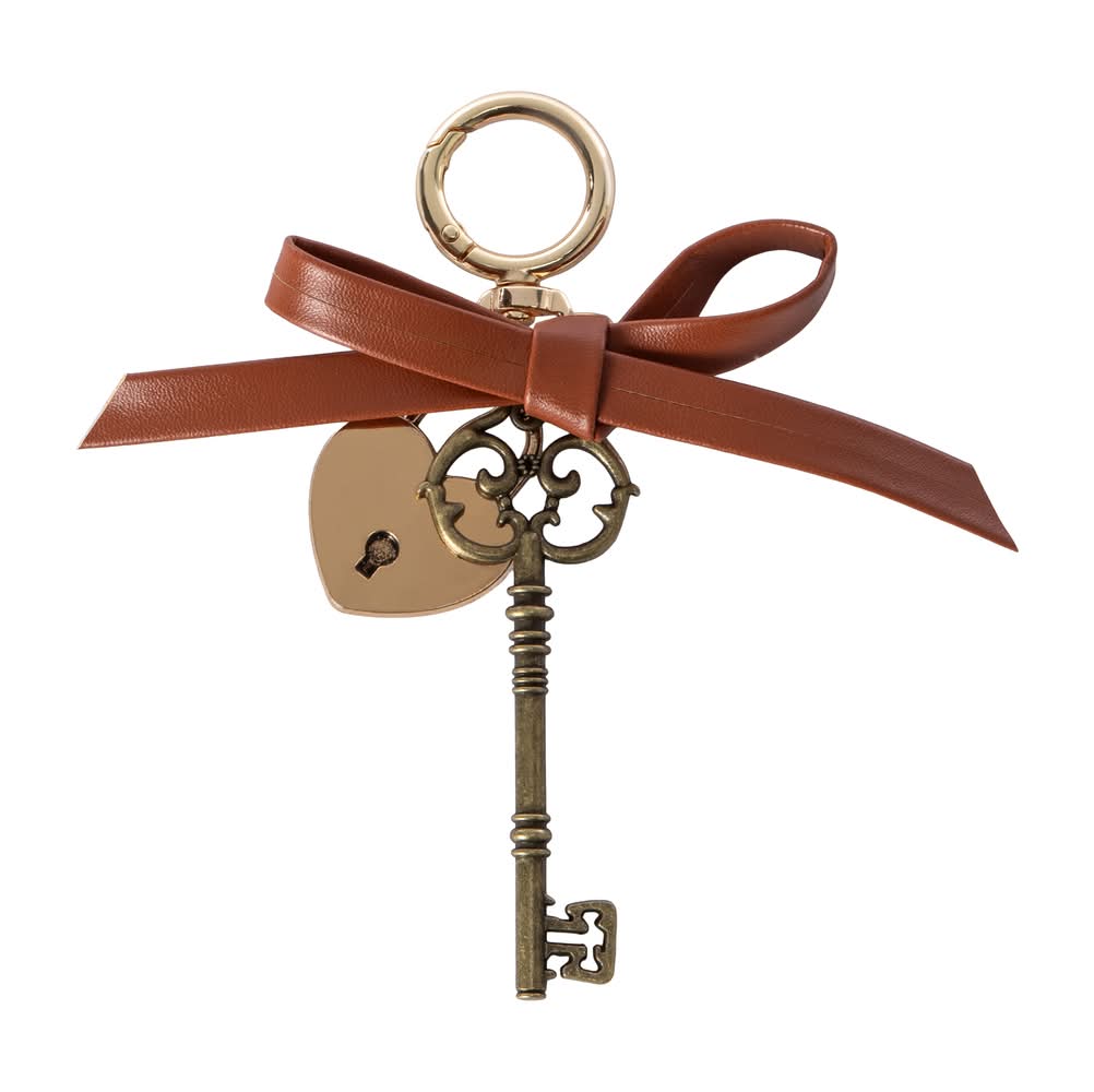 Novelty Keychain Brown Key
