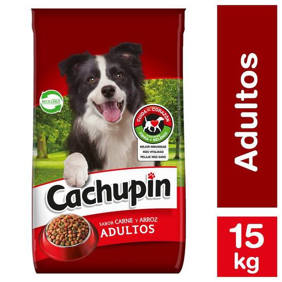 Cachupin alimento adulto sabor carne y arroz premium (saco 15 kg)