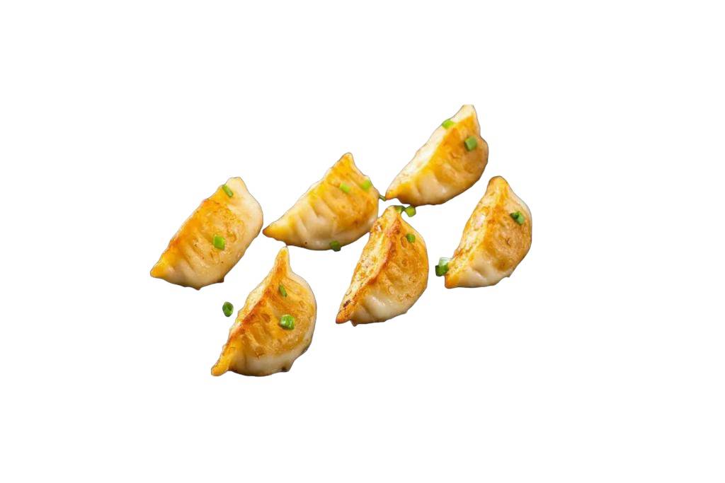 Gyoza Légumes
