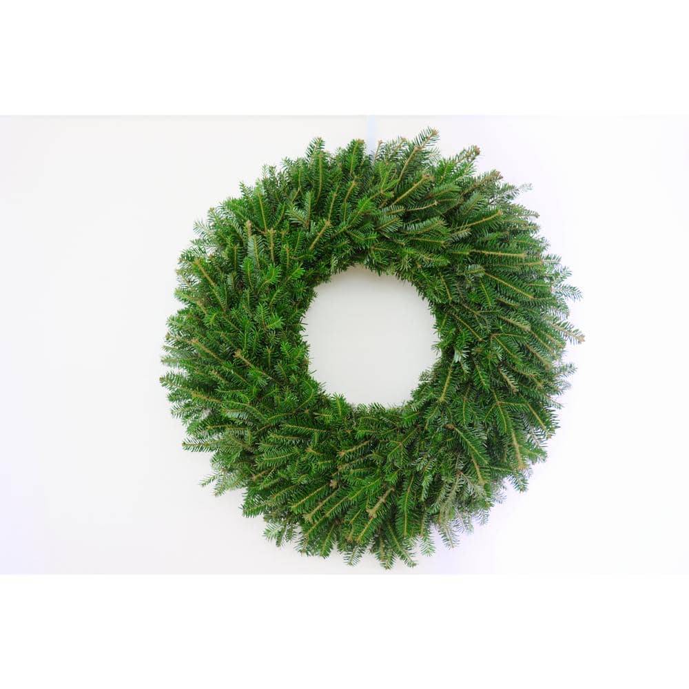 28 In. Fresh Cut Fraser Fir Wreath