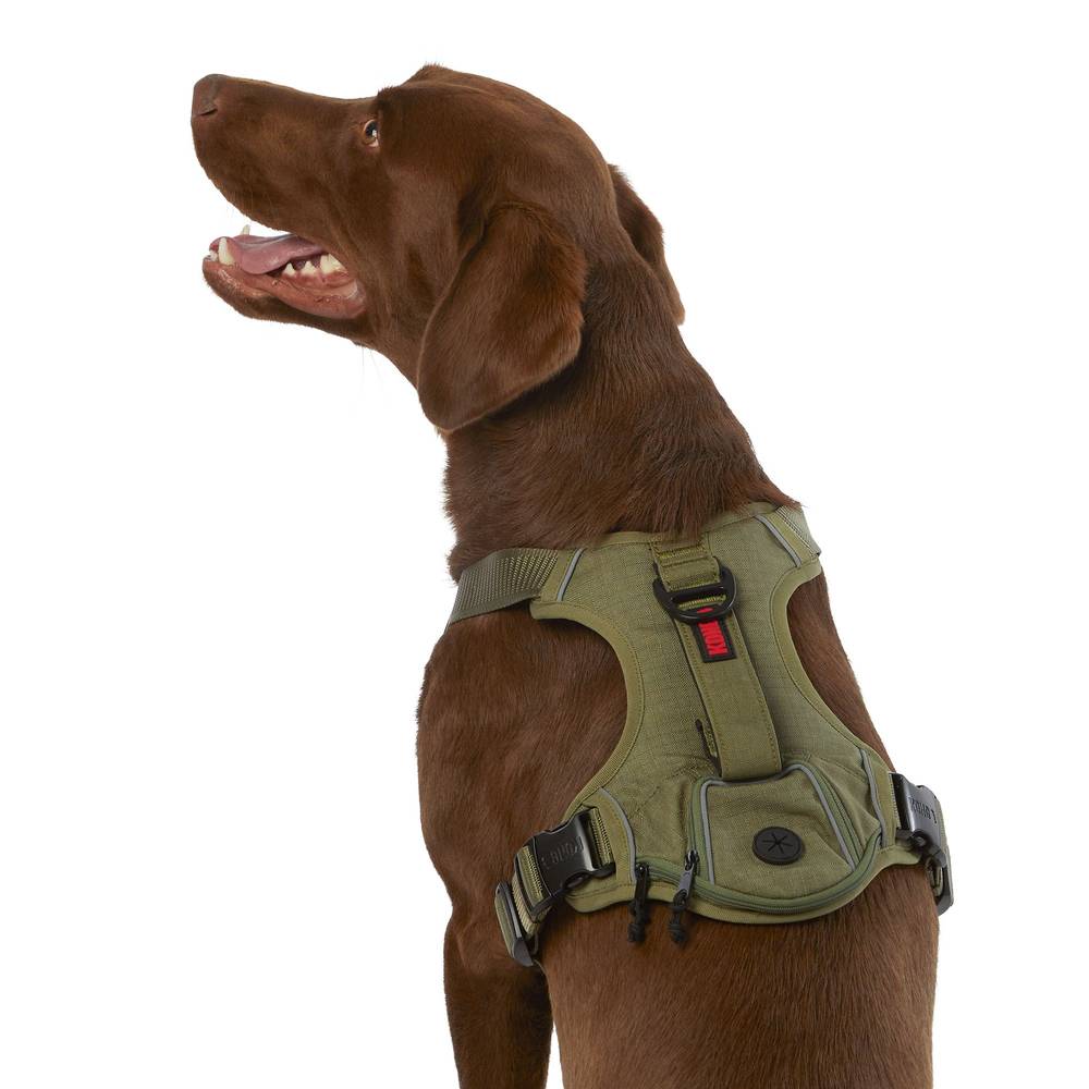 KONG® Reflective Waste Bag Dog Harness (Color: Green, Size: Medium)