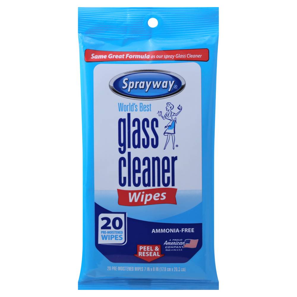 Sprayway Glass Cleaner Wipes (3.2 oz)