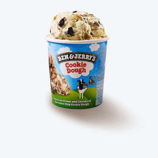 Ben & Jerry's Chocolate Chip Cookie Dough 458ml Tub
