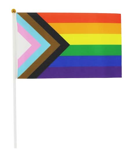 Celebrate It Mini Pride Progress Flags (3 ct)