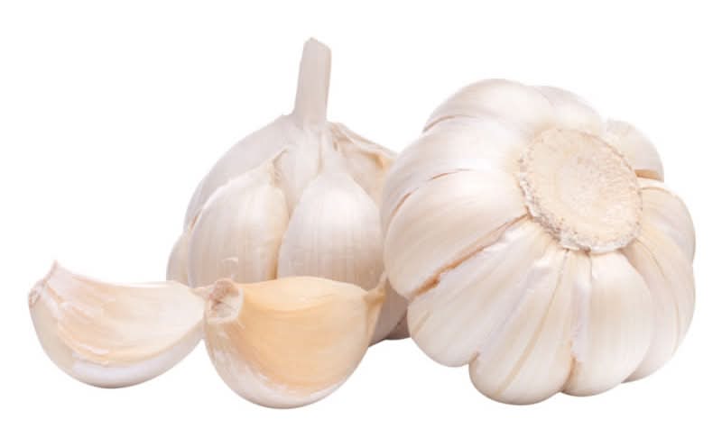 Garlic