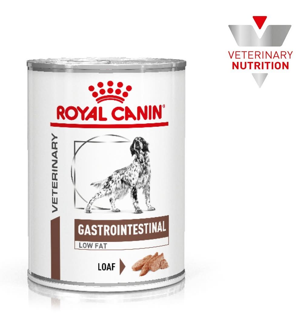 Royal Canin · Gastro intestinal low fat alimento húmedo de prescripción, Adulto (385 g)