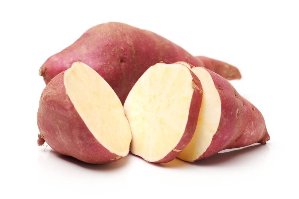 White Sweet Potato Yam