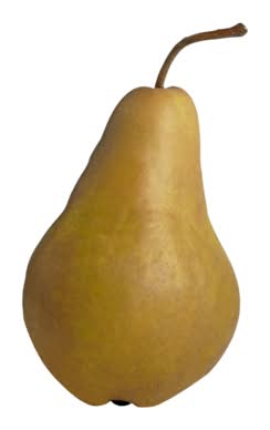 PC Organics Organic Bosc Pears 1.0 KG