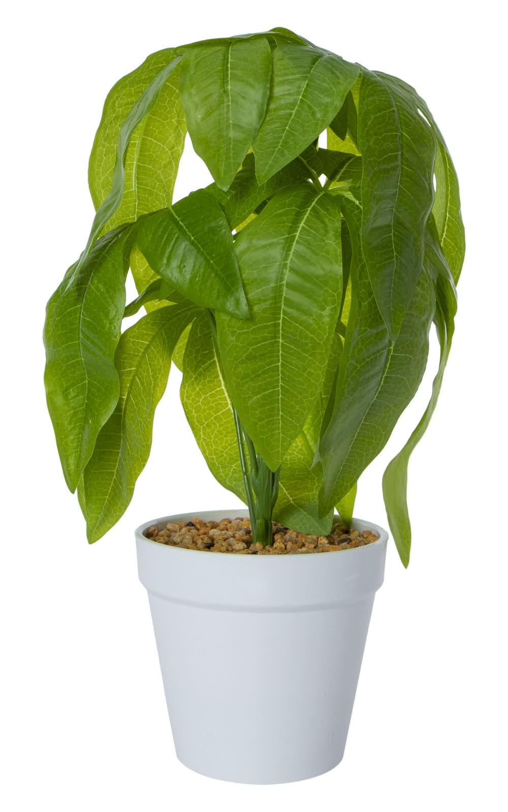 Faux Plant Money Tree