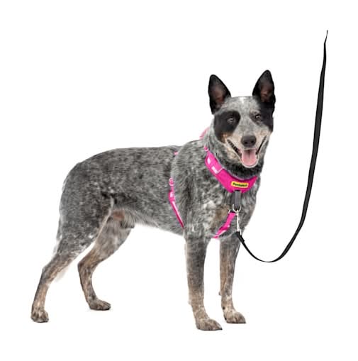 PetSafe 5 Points of Adjustment for Perfect Fit Easy Walk Comfort No-Pull Dog Harness, Medium/Large, Pink