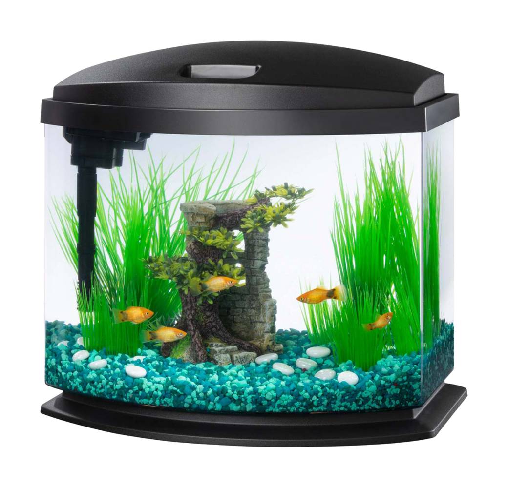Aqueon Led Minibow Aquarium Kit With Smartclean Technology, Black