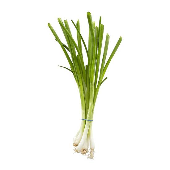 Oignons verts (1 botte) - green onion (1 bunch)