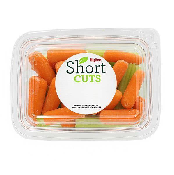 Short Cuts Celery & Carrot Mix - Large