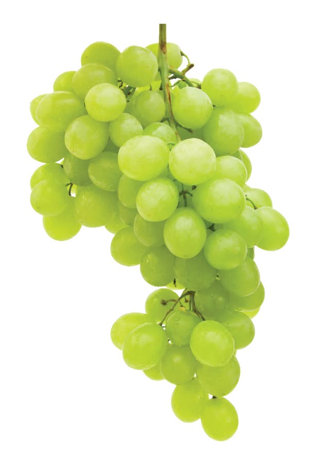 Pristine Green Seedless Grapes (1 lbs)
