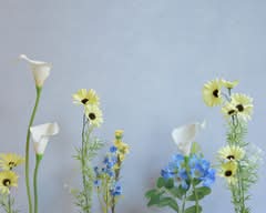 蒔花廊